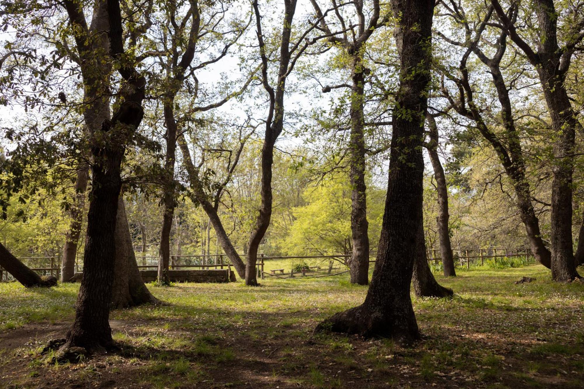 Вилла Parco Statella Montelaguardia Экстерьер фото